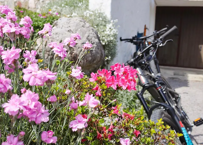 Am Schwarzerberg Scheffau am Tennengebirge